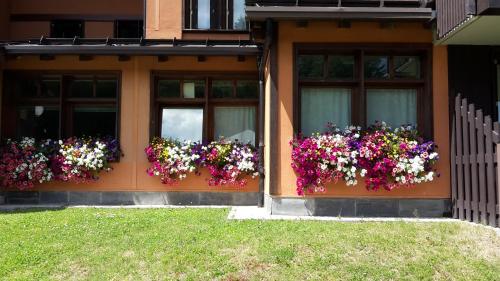 Imagen general del Hotel Multipropriet&agrave; Rio Falz&egrave;. Foto 2