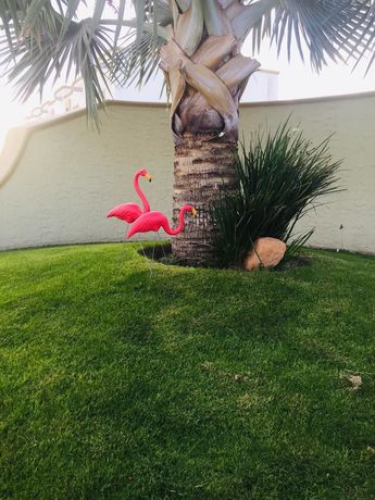 Imagen de los exteriores del Hotel Mumai. Foto 13