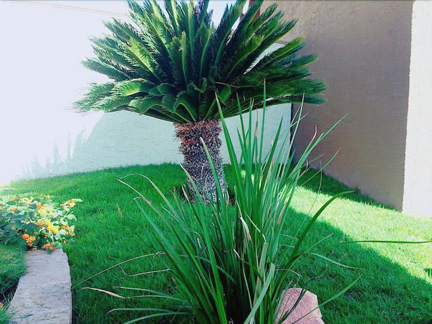 Imagen de los exteriores del Hotel Mumai. Foto 14