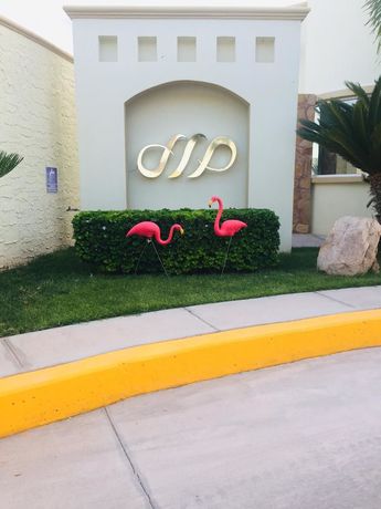 Imagen de los exteriores del Hotel Mumai. Foto 15