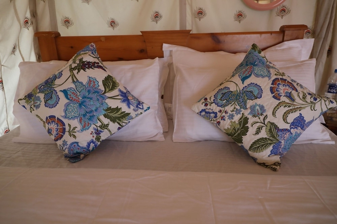 Imagen de la habitación del Hotel Mumal Desert Camp. Foto 7