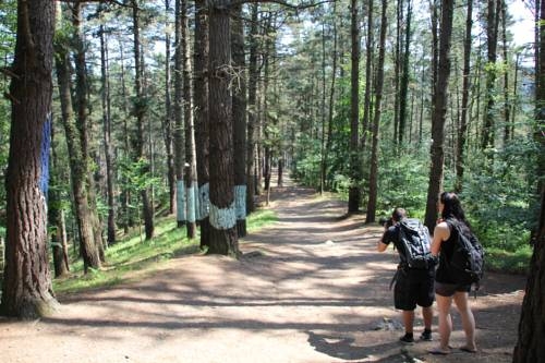 Imagen general del Hotel Mundaka, Mundaka. Foto 5