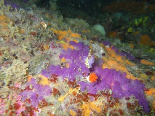 Imagen general del Hotel Mundaka, Mundaka. Foto 12