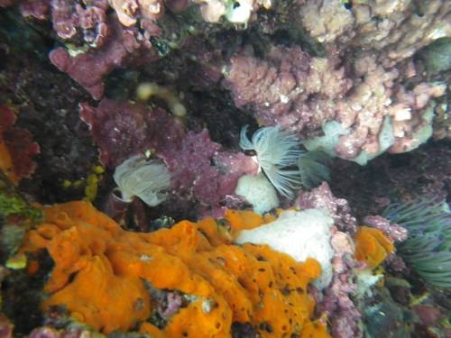 Imagen general del Hotel Mundaka, Mundaka. Foto 13