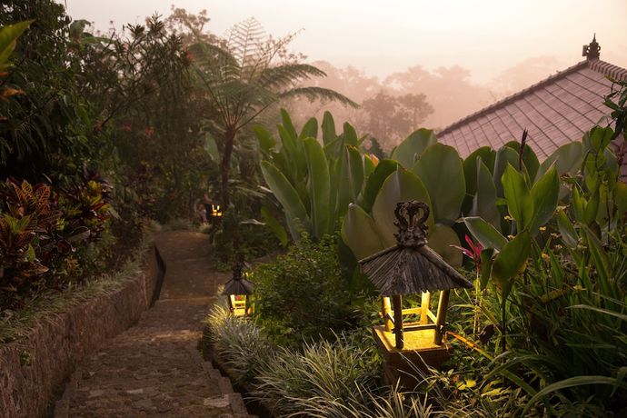 Imagen de los exteriores del Hotel Munduk Moding Plantation Nature Resort. Foto 13