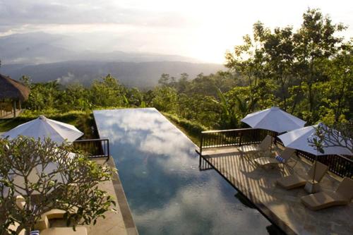 Imagen de la piscina del Hotel Munduk Moding Plantation Nature Resort. Foto 16