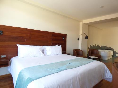 Imagen de la habitación del Hotel Mu&ntilde;a Andahuaylas. Foto 19