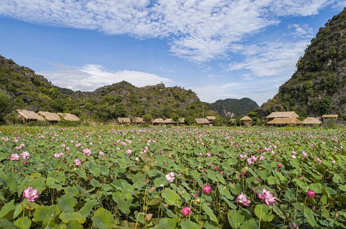Imagen general del Hotel Muong Village Ninh Binh. Foto 3