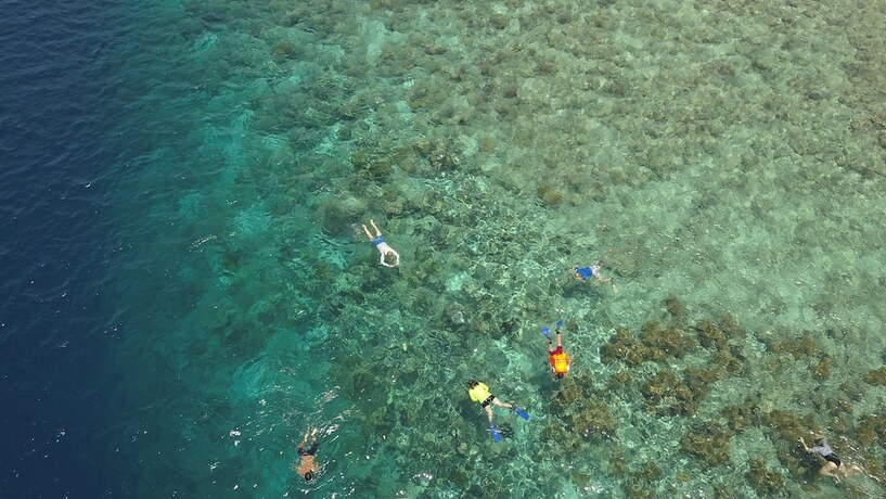Imagen general del Hotel Murex Manado Dive Resort. Foto 1