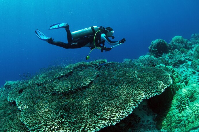 Imagen general del Hotel Murex Manado Dive Resort. Foto 5