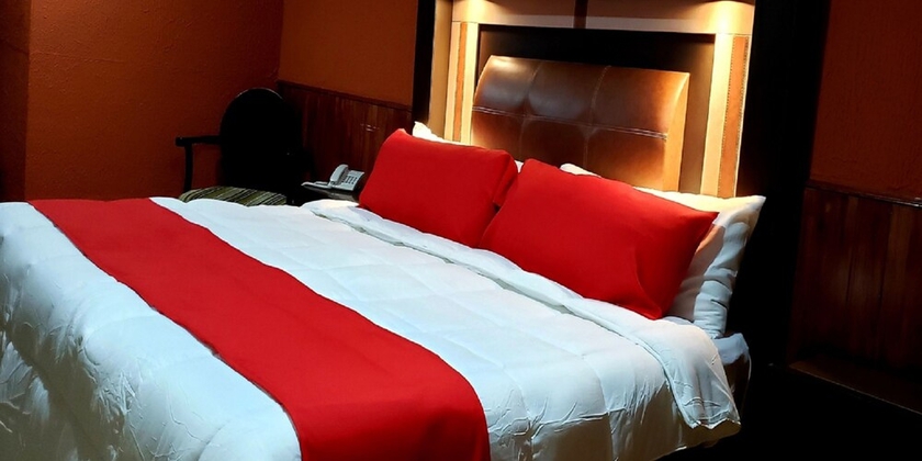 Imagen de la habitación del Hotel Murillo Plaza. Foto 2