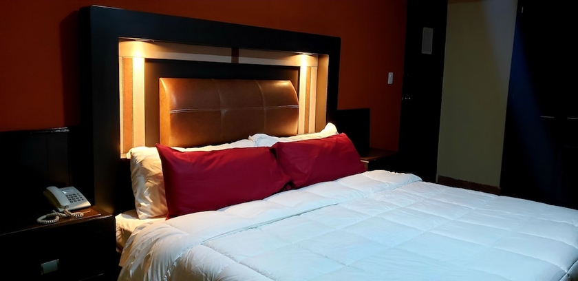 Imagen de la habitación del Hotel Murillo Plaza. Foto 3