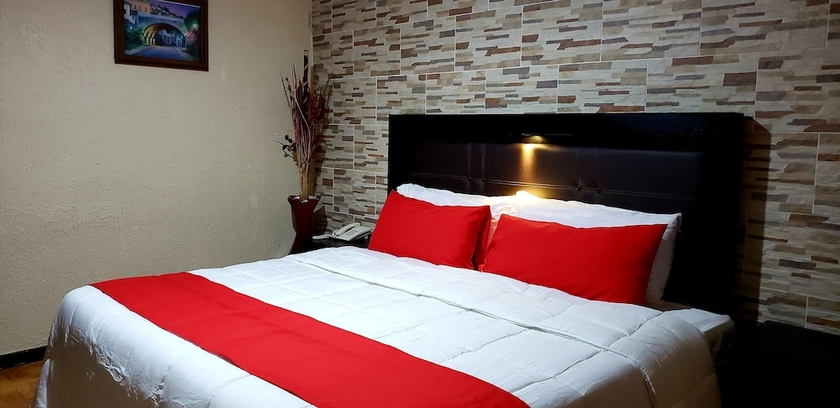 Imagen de la habitación del Hotel Murillo Plaza. Foto 10