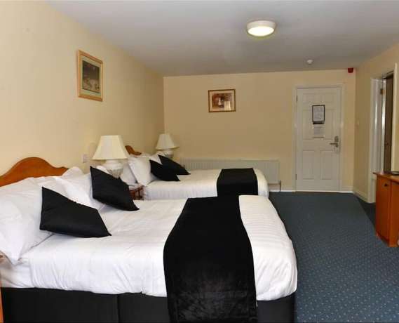 Imagen de la habitación del Hotel Murphy\'s. Foto 20