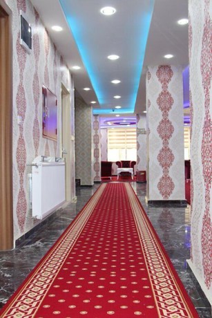 Imagen de los interiores del Hotel Mus Mir Saray. Foto 17