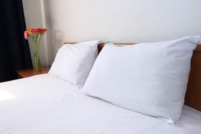 Imagen de la habitación del Hotel Musa Ler Yerevan. Foto 7