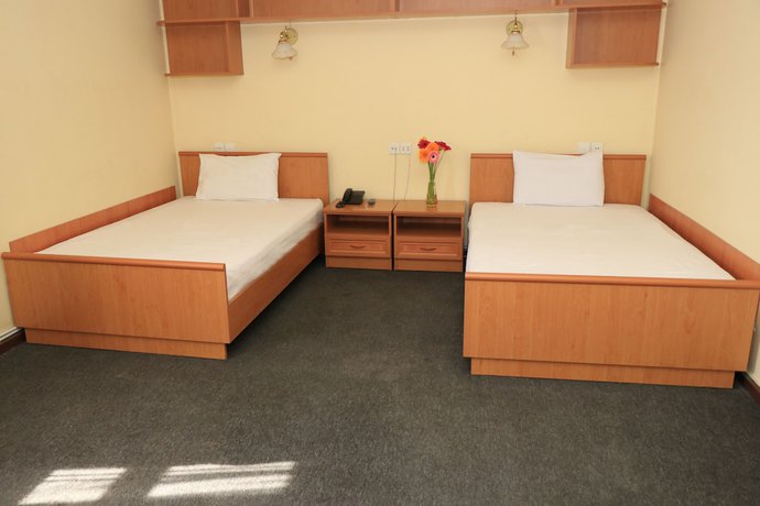 Imagen de la habitación del Hotel Musa Ler Yerevan. Foto 12
