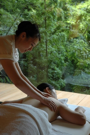 Imagen de los interiores del Hotel Musashino Bekkan. Foto 11