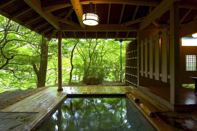 Imagen de la piscina del Hotel Musashino Bekkan. Foto 12