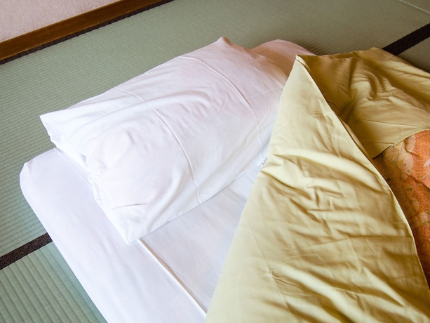 Imagen de la habitación del Hotel Musashiya. Foto 5