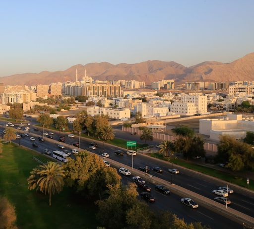 Imagen general del Hotel Muscat Inn. Foto 1