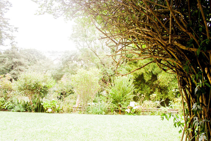 Imagen del bar/restaurante del Hotel Museo Mayan Inn De Guatemala. Foto 6