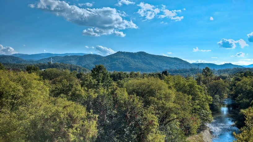 Imagen de la habitación del Hotel Music Road Resort And Inn. Foto 20