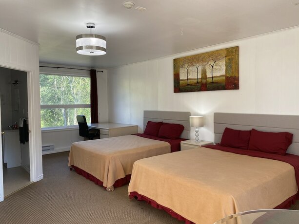 Imagen de la habitación del Hotel Muskoka Nights Motel. Foto 15