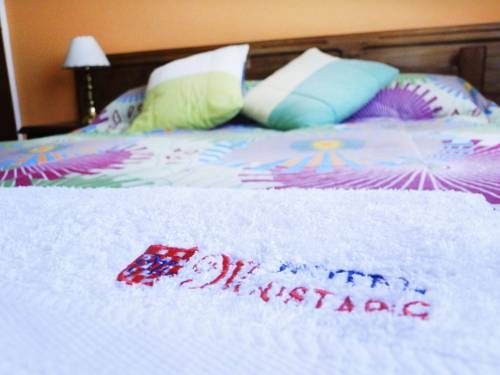 Imagen general del Hotel Mustapic. Foto 11