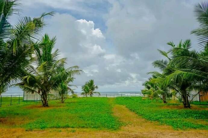 Imagen general del Hotel Muthumuni Ayurveda Beach Resort. Foto 9