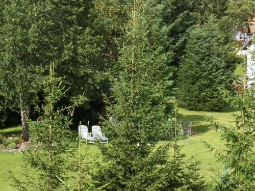 Imagen de la habitación del Hotel Mutzel. Foto 8