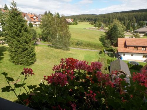 Imagen general del Hotel Mutzel. Foto 6