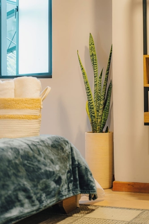 Imagen de la habitación del Hotel Muuk Boutique Campestre. Foto 9
