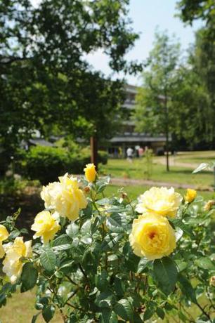 Imagen general del Hotel Müggelseeperle. Foto 8