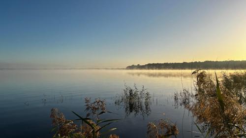 Imagen general del Hotel Müggelseeperle. Foto 9