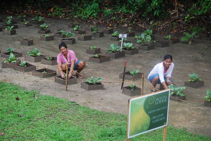 Imagen de los exteriores del Hotel Muyuna Lodge. Foto 8
