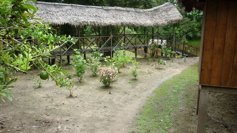 Imagen de la habitación del Hotel Muyuna Lodge. Foto 4