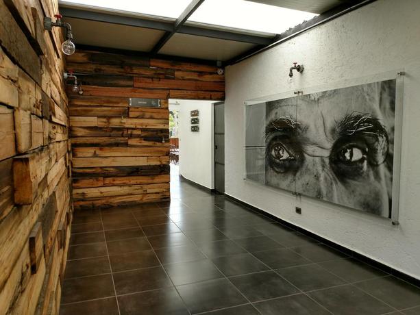 Imagen de los interiores del Hotel Mx Roma. Foto 6