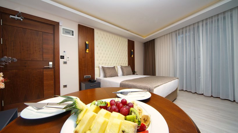 Imagen de la habitación del Hotel My Dream Istanbul. Foto 4