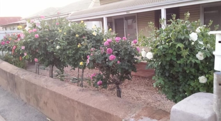 Imagen general del Hotel My Nanna's Place. Foto 3