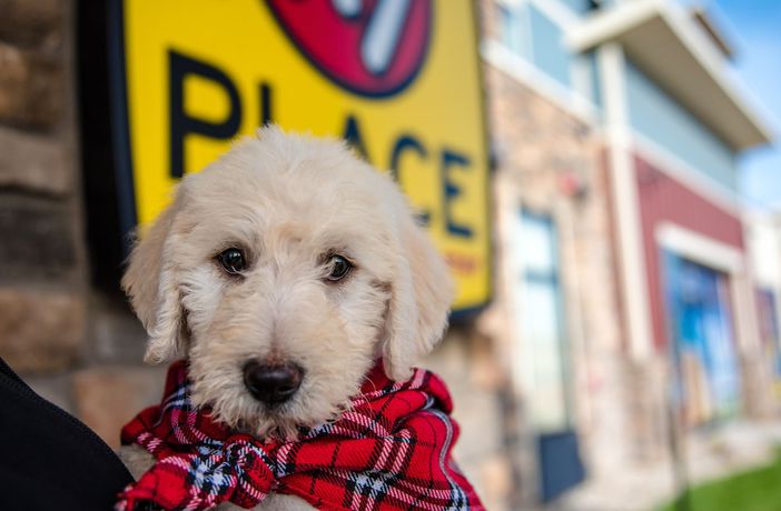 Imagen general del Hotel My Place - Green Bay. Foto 1