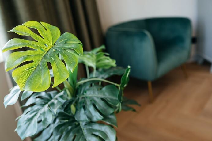 Imagen de la habitación del Hotel MyHotelSteenwijk. Foto 18