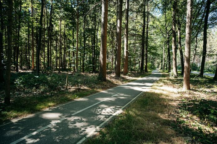 Imagen general del Hotel MyHotelSteenwijk. Foto 7