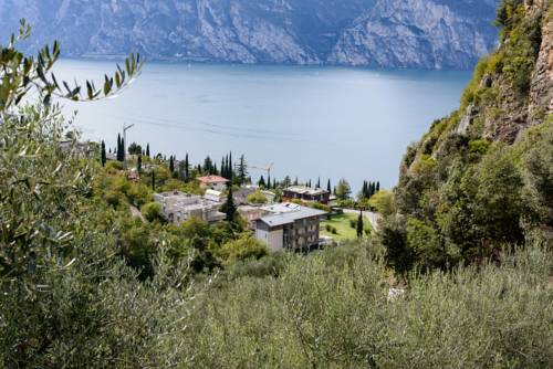 Imagen general del Hotel MySEELE Garda Active. Foto 1