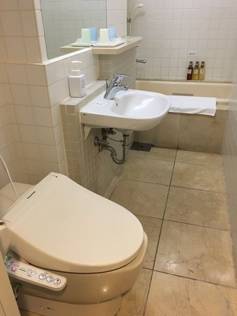 Imagen de la habitación del Hotel MyStays Nishi-Shinjuku. Foto 3