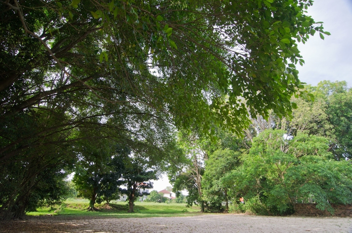 Imagen de los exteriores del Hotel Mydream Homestay. Foto 13