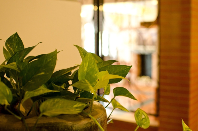 Imagen de los interiores del Hotel Mydream Homestay. Foto 15