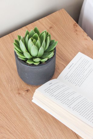 Imagen de la habitación del Hotel Mykonos Cactus. Foto 6