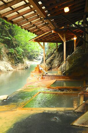 Imagen general del Hotel Myogaya Honkan. Foto 3