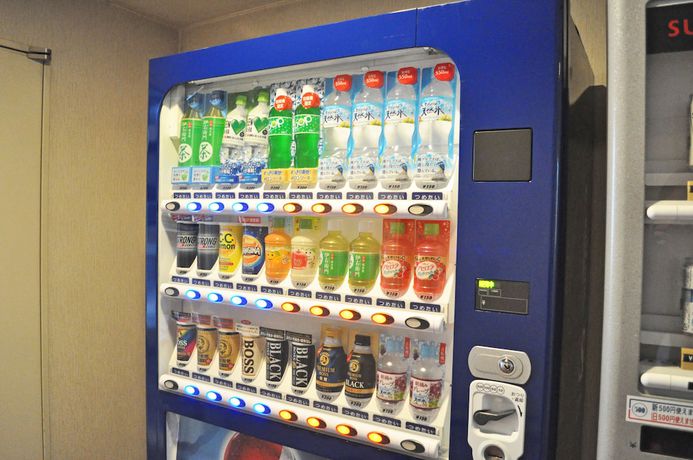 Imagen de los interiores del Hotel Myoko Sunshine Hotel. Foto 15